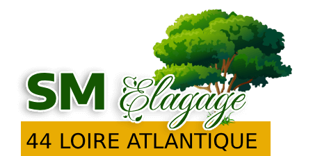 couvreur-sm-elagage